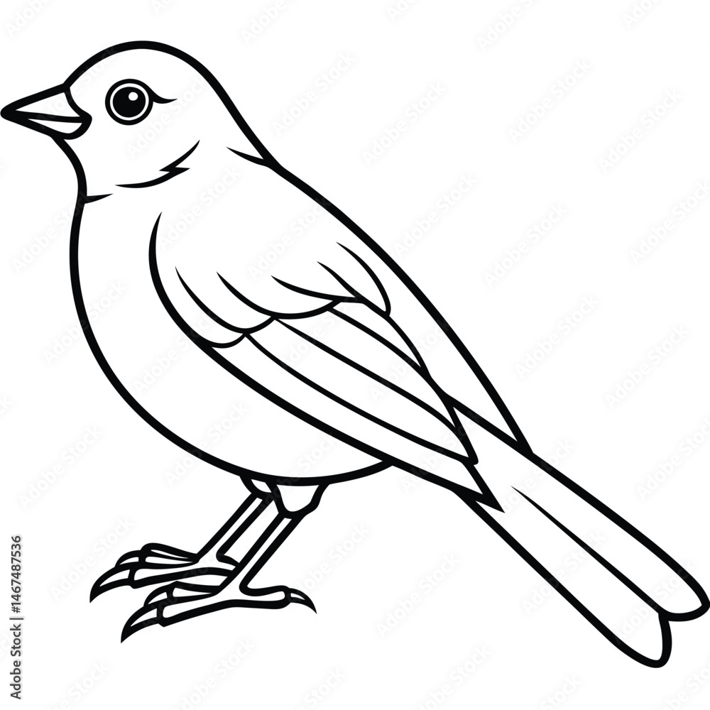 Obraz premium Elegant Line Art Bluebird Illustration Isolated on White