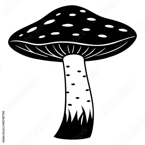 mushroom on a black background