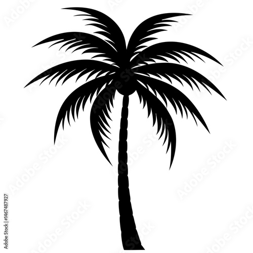 palm tree silhouette