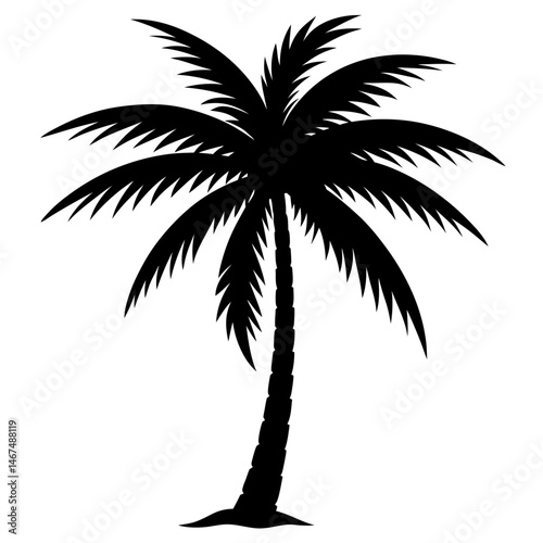 silhouette of palm tree