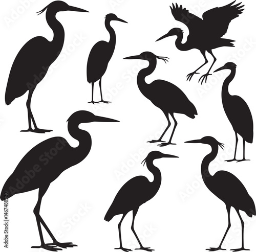 Heron Silhouette SVG – Elegant Bird Vector for Nature Designs

Flying Heron Clipart – Wildlife SVG for Crafts & Prints

Wading Bird Vector – Heron Design for Nature & Bird Lovers

Heron Standing SVG –