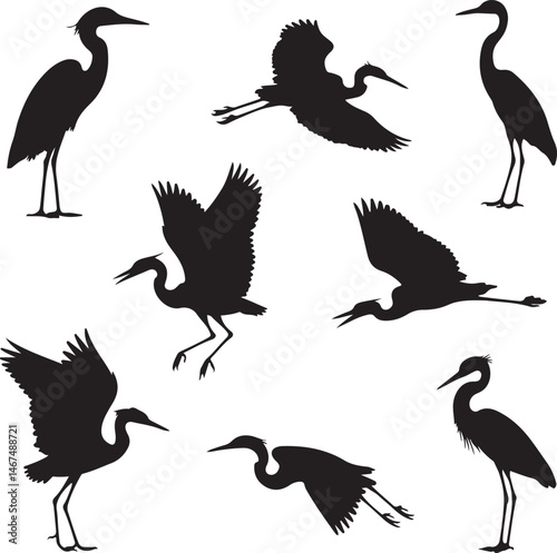 Heron Silhouette SVG – Elegant Bird Vector for Nature Designs

Flying Heron Clipart – Wildlife SVG for Crafts & Prints

Wading Bird Vector – Heron Design for Nature & Bird Lovers

Heron Standing SVG –