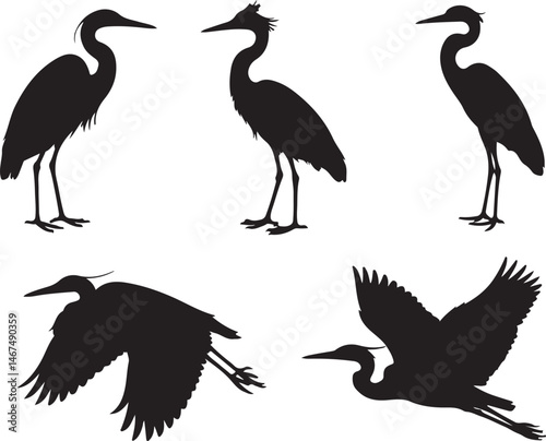 Heron Silhouette SVG – Elegant Bird Vector for Nature Designs

Flying Heron Clipart – Wildlife SVG for Crafts & Prints

Wading Bird Vector – Heron Design for Nature & Bird Lovers

Heron Standing SVG –