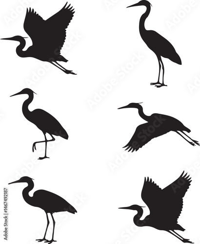 Heron Silhouette SVG – Elegant Bird Vector for Nature Designs

Flying Heron Clipart – Wildlife SVG for Crafts & Prints

Wading Bird Vector – Heron Design for Nature & Bird Lovers

Heron Standing SVG –