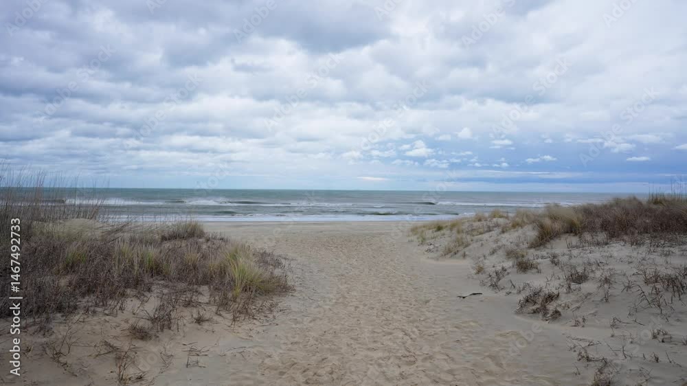 A sandy path leads through coastal dunes to a calm shoreline under a cloudy sky at Bay Back National Wildlife Refuge in Virginia Beach. A sandy path leads through coastal dunes to a calm shoreline under a cloudy sky at Bay Back National Wildlife Refuge in Virginia Beach.