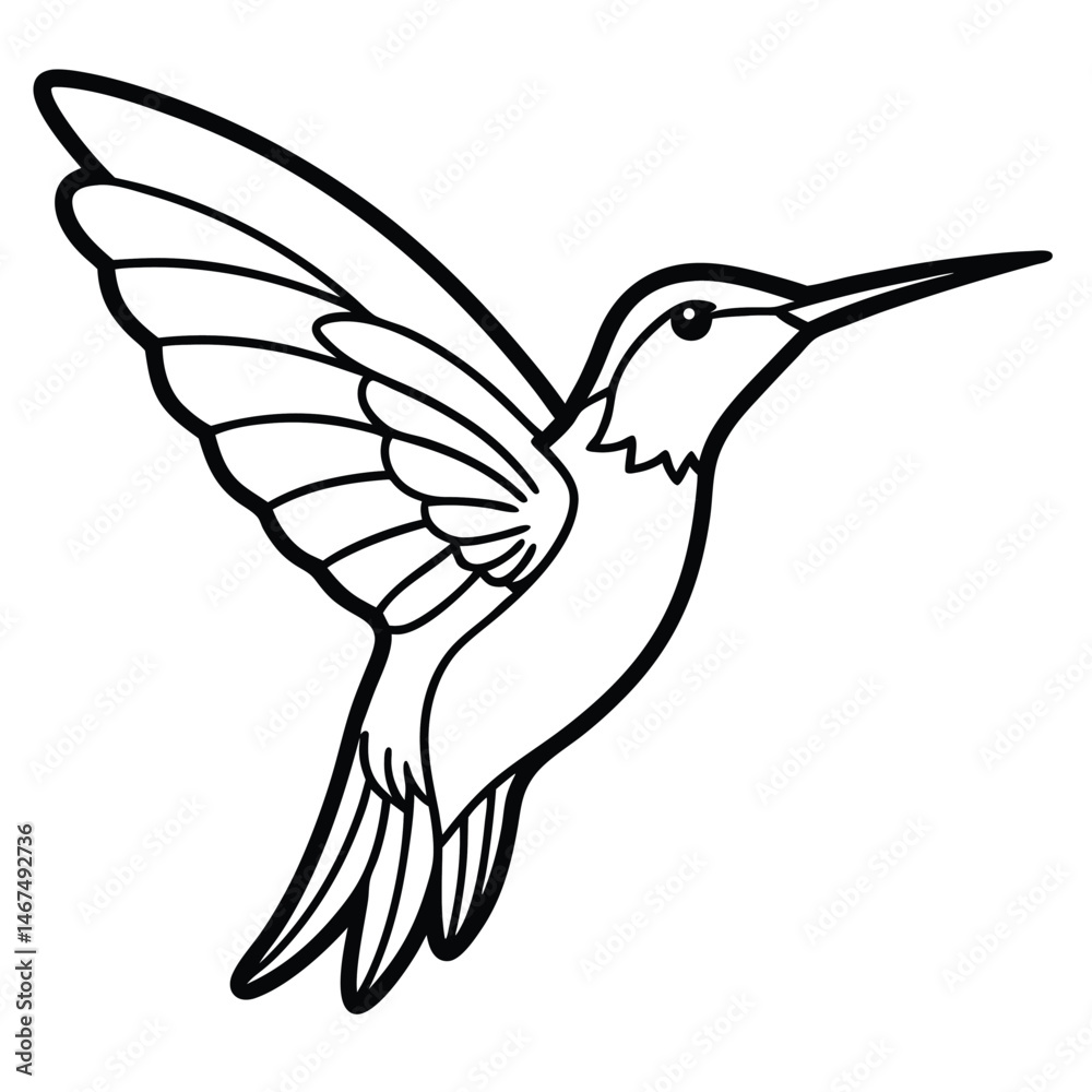Obraz premium Elegant Hummingbird Line Art Illustration Isolated White Background