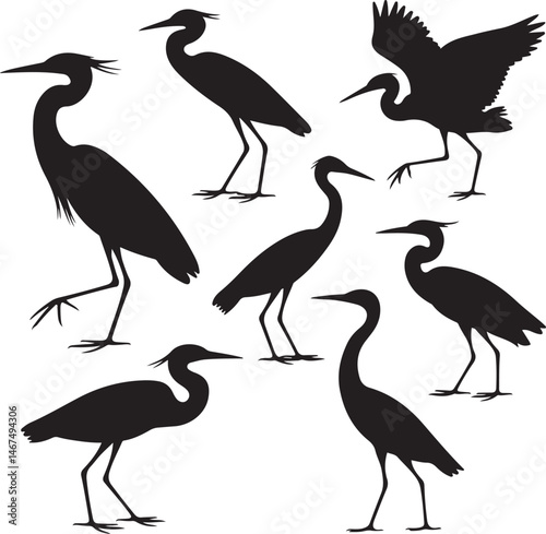Heron Silhouette SVG – Elegant Bird Vector for Nature Designs

Flying Heron Clipart – Wildlife SVG for Crafts & Prints

Wading Bird Vector – Heron Design for Nature & Bird Lovers

Heron Standing SVG –