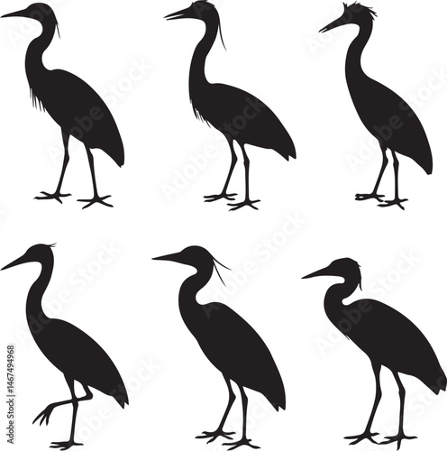 Heron Silhouette SVG – Elegant Bird Vector for Nature Designs

Flying Heron Clipart – Wildlife SVG for Crafts & Prints

Wading Bird Vector – Heron Design for Nature & Bird Lovers

Heron Standing SVG –