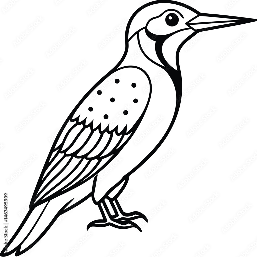 Fototapeta premium Detailed Line Art Woodpecker Illustration Isolated on White