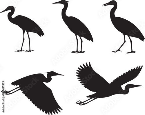 Heron Silhouette SVG – Elegant Bird Vector for Nature Designs

Flying Heron Clipart – Wildlife SVG for Crafts & Prints

Wading Bird Vector – Heron Design for Nature & Bird Lovers

Heron Standing SVG –