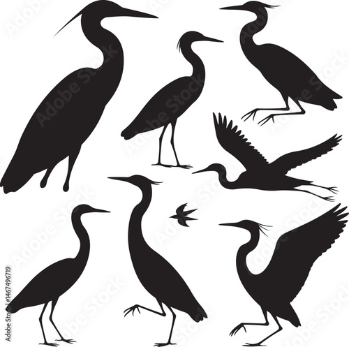 Heron Silhouette SVG – Elegant Bird Vector for Nature Designs

Flying Heron Clipart – Wildlife SVG for Crafts & Prints

Wading Bird Vector – Heron Design for Nature & Bird Lovers

Heron Standing SVG –