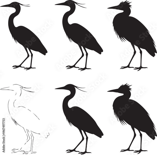 Heron Silhouette SVG – Elegant Bird Vector for Nature Designs

Flying Heron Clipart – Wildlife SVG for Crafts & Prints

Wading Bird Vector – Heron Design for Nature & Bird Lovers

Heron Standing SVG –