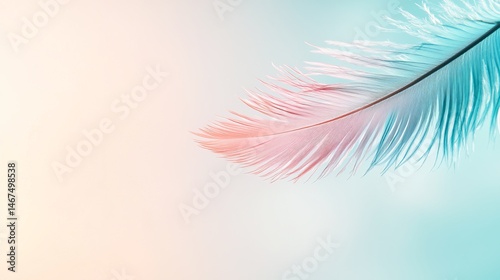 Colorful Feather against Soft Pastel Background with Gradient Hues