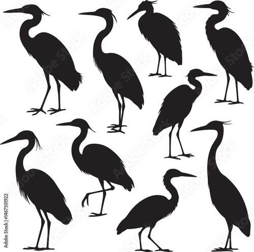 Heron Silhouette SVG – Elegant Bird Vector for Nature Designs

Flying Heron Clipart – Wildlife SVG for Crafts & Prints

Wading Bird Vector – Heron Design for Nature & Bird Lovers

Heron Standing SVG –
