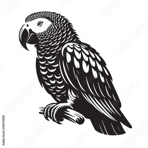 African Grey Parrot Silhouette line art vector illustration on white background