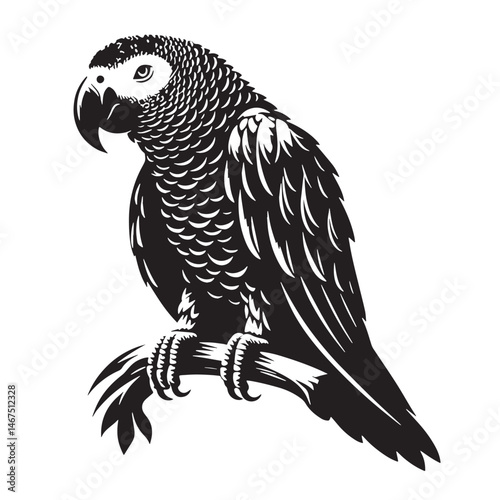 African Grey Parrot Silhouette line art vector illustration on white background