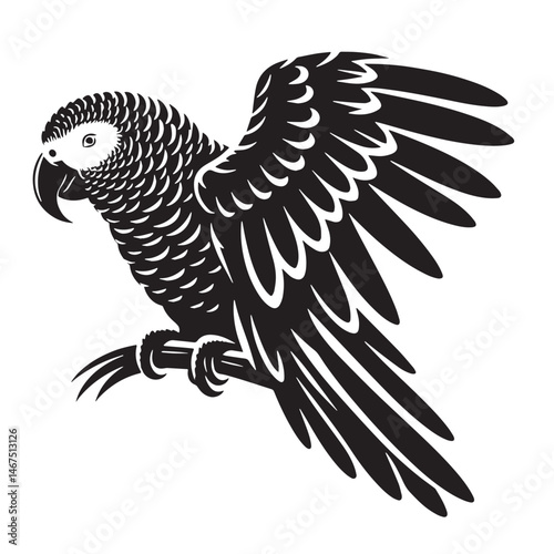 African Grey Parrot Silhouette line art vector illustration on white background