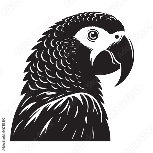 African Grey Parrot Silhouette line art vector illustration on white background
