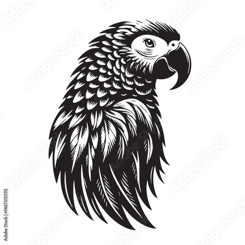 African Grey Parrot Silhouette line art vector illustration on white background