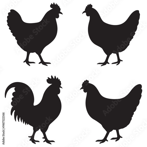 Chicken Breeds: A Guide to Varieties, Care, and Characteristics