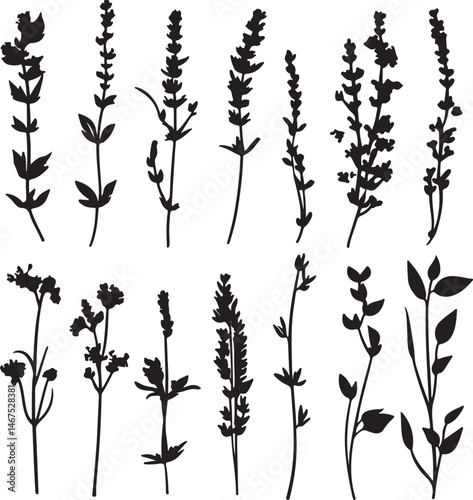 Black Botanical Silhouettes: Elegant Floral Sprigs and Stems Vector Illustration
