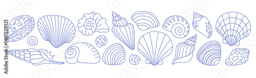 Doodle outline collection of sea shells, mollusks, sea ​​snails. Tropical beach shells. Vector illustration in modern minimal style