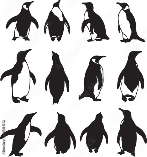 Black and White Penguin Silhouettes: Vector Art of Antarctic Birds in Various Poses