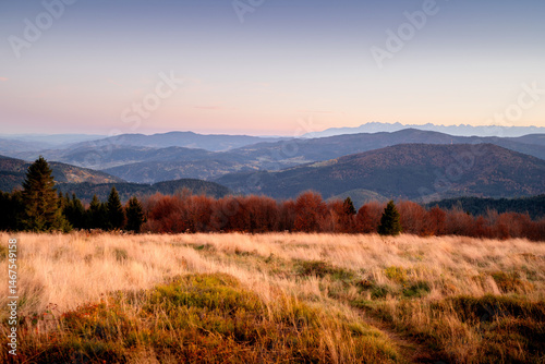Fototapeta Naklejka Na Ścianę i Meble -  Picturesque Stumorgowa meadow, Beskidy, Poland. Country road in the field. Autumn landscape of Polish mountains. View of the Tatra Mountains.