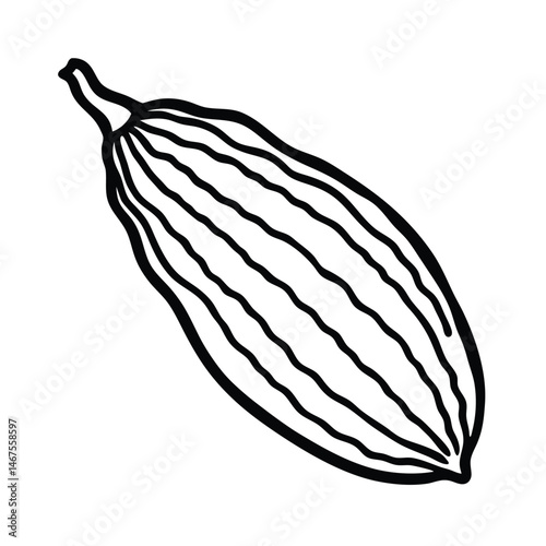vector illustration of a bitter melon