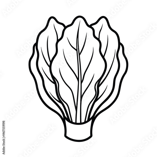 vector silhouette of a bok choy