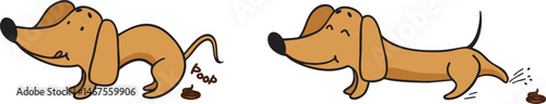Funny Dachshund doing poop and digging it . Vector flat cartoon  illustration
