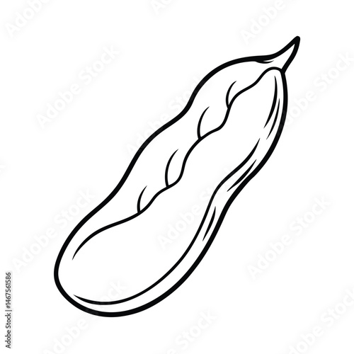 vector illustration of a broad bean