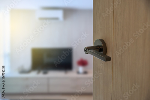 door with handle and lock