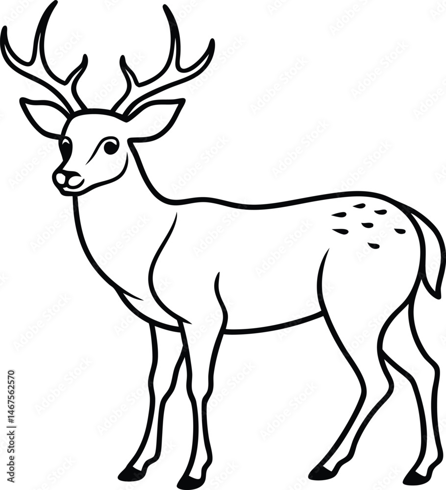 Fototapeta premium hand drawn deer outline illustration 
