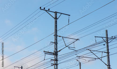 A power line pole with a bird on it