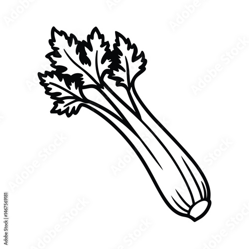 vector illustration of a celery