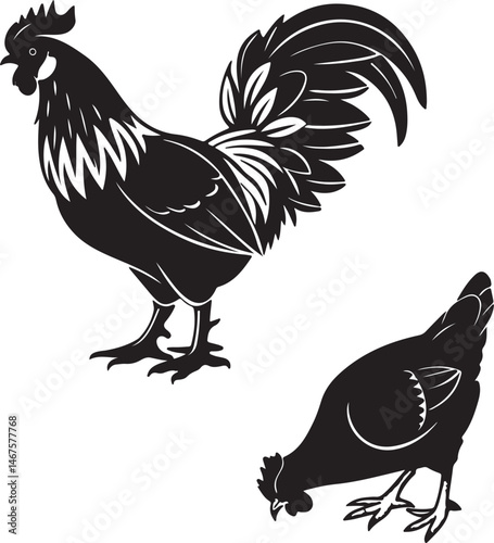 Rooster and hen silhouettes in black on a white background, illustrating their profiles in a simple vector design