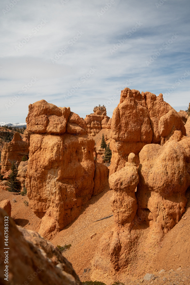 Fototapeta premium Dixie National Forest, Utah
