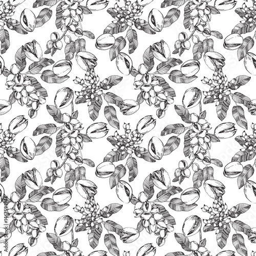Seamless vector pattern with hand drawn ink pistachio nuts and leaves. Template for food, drink label design