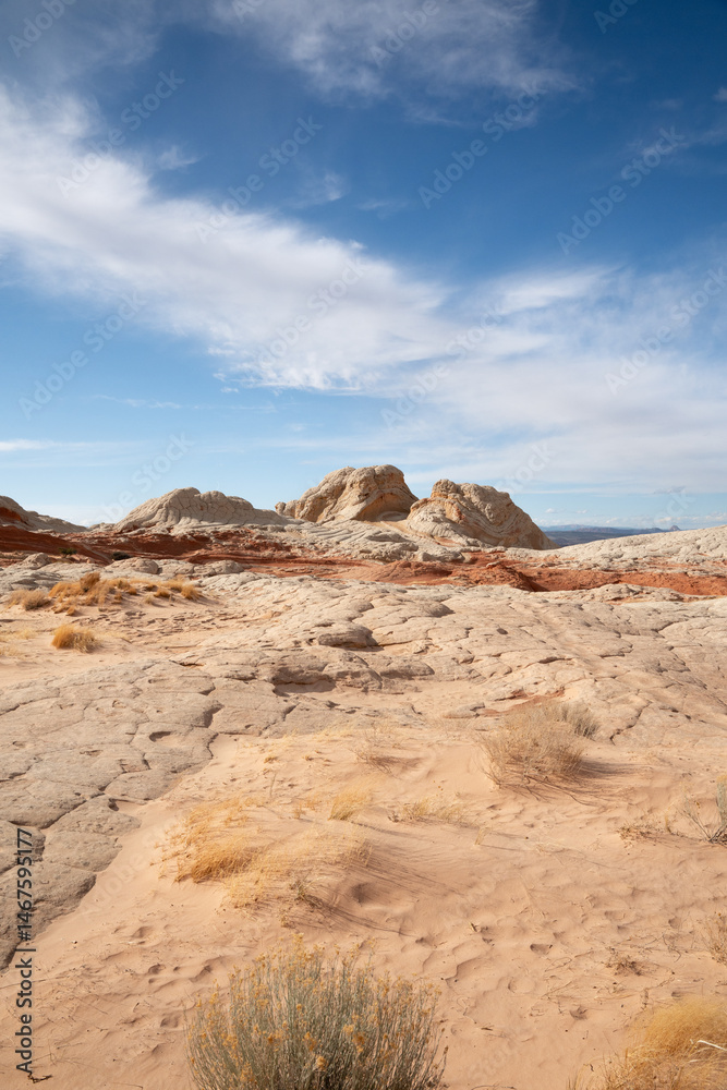 Fototapeta premium White Pocket, Arizona