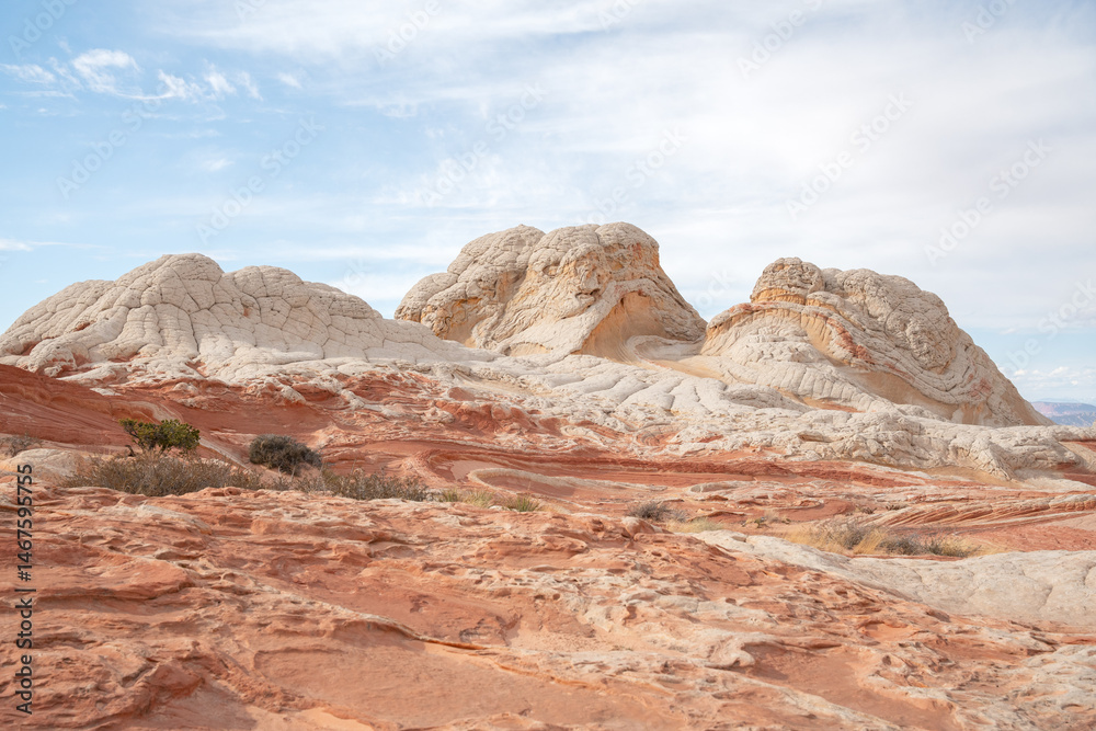 Fototapeta premium White Pocket, Arizona