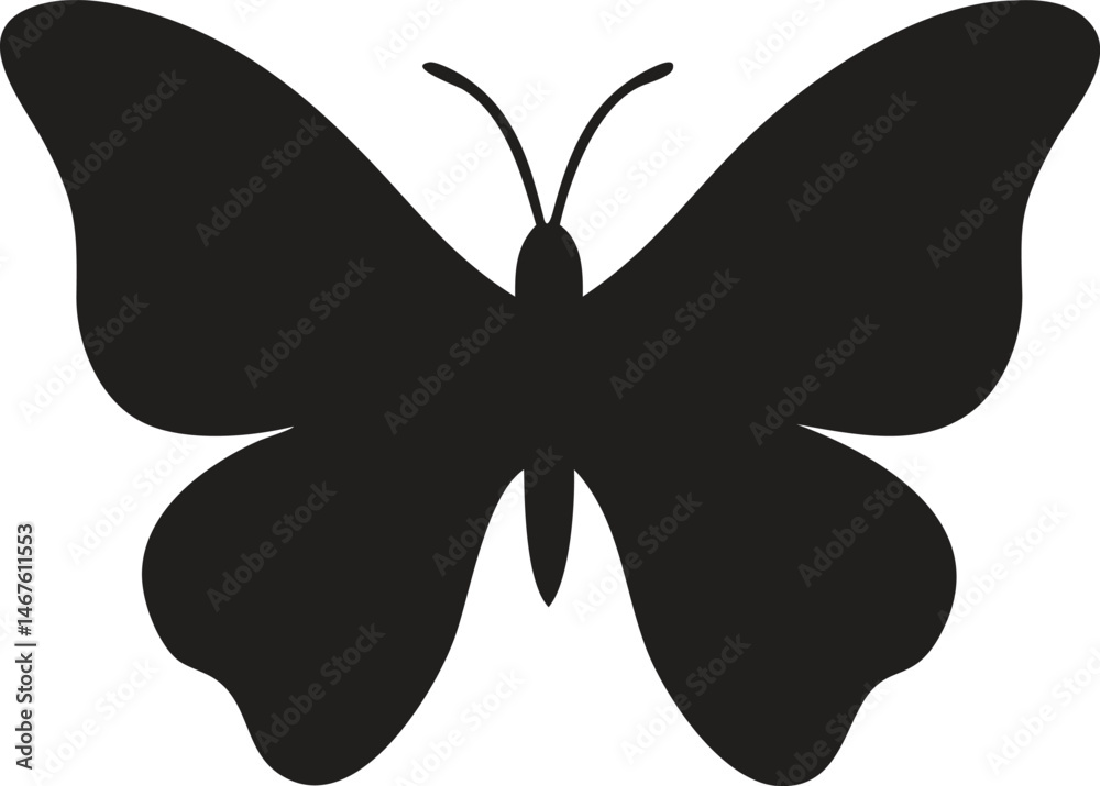 Butterfly Butterfly