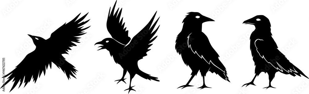 Obraz premium Ravens silhouettes collection. 