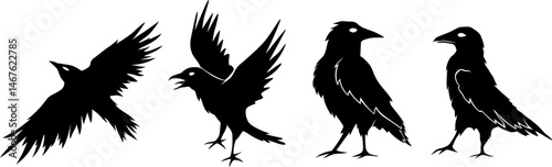 Ravens silhouettes collection. 