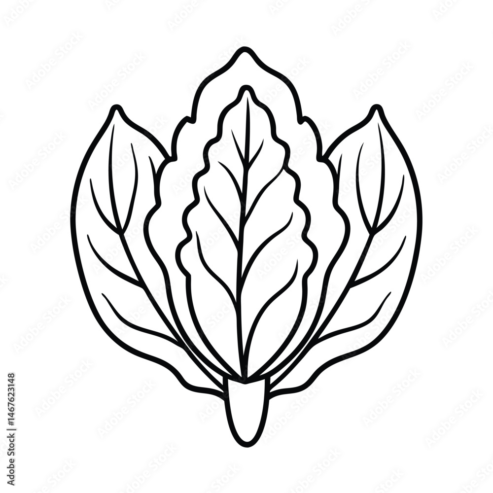 vector illustration of a sorrel vector illustration of a sorrel