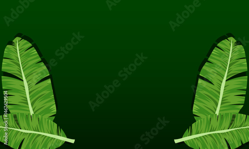Nature green banana leaves on dark green background. banner frame with copy space. Exotic Jungle Wallpaper.