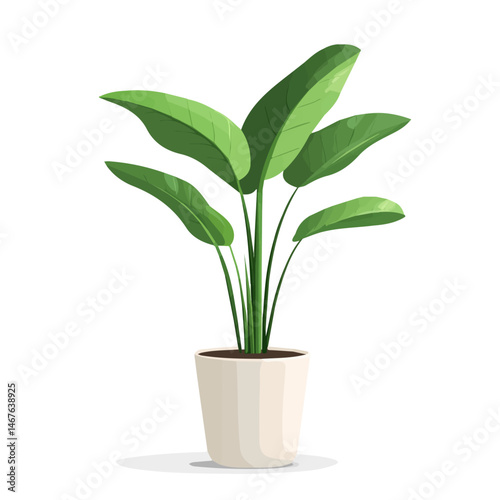 Flat vector Tall Plant Pot, minimalist design, isolated on a white background.