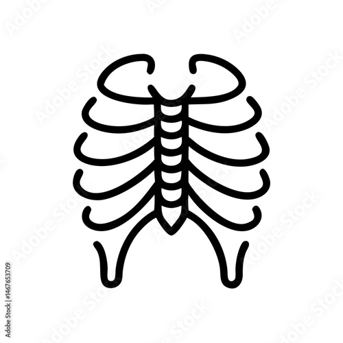 ribs