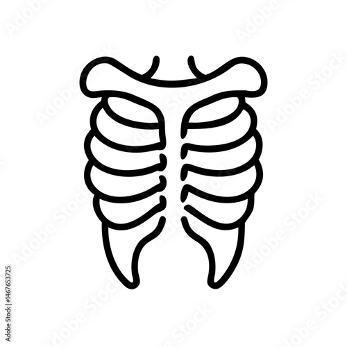 ribs
