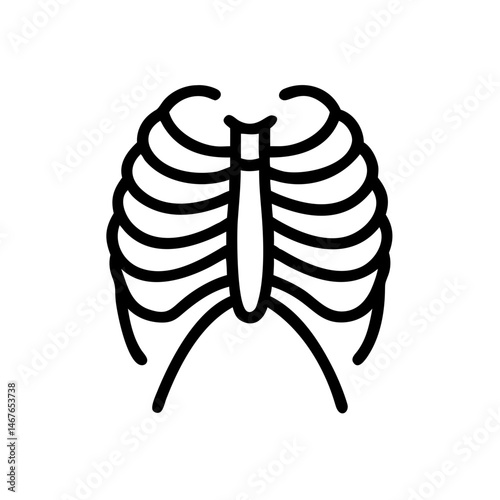 ribs